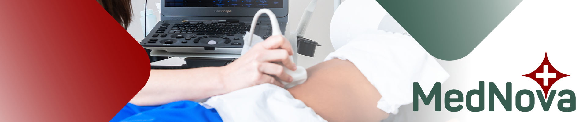 Early pregnancy sonar being conducted by Dr Tanya Webber